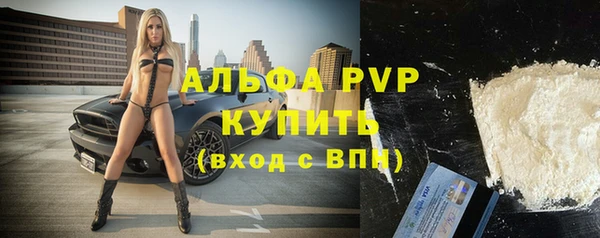 прущие грибы Бутурлиновка
