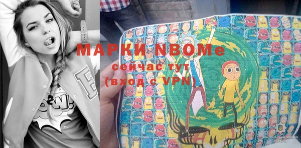 прущие грибы Алзамай